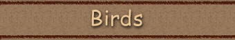 Catalog >> Birds