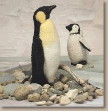 Emperor Penguins, displayed