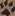 Tinypaw